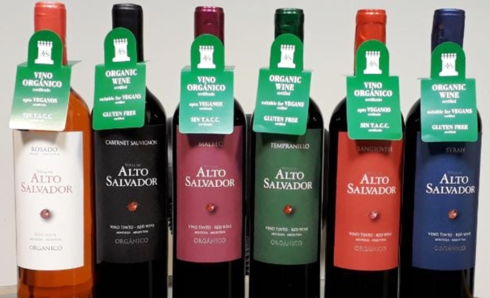 Foto para: VIÑAS DE ALTO SALVADOR califica a todos sus vinos como 