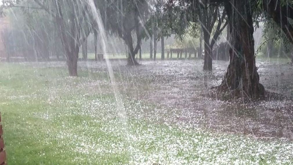 Foto para: El Ministerio de Producción de Mendoza declaró el estado de emergencia y/o desastre agropecuario. 