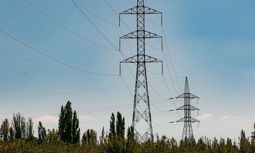 Foto para: El CENTRO DE VIÑATEROS Y BODEGUEROS DEL ESTE denuncia una crisis de rentabilidad negativa terminal. 