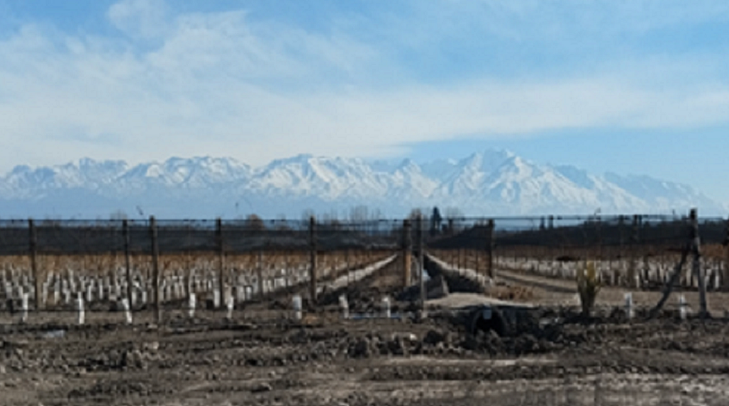 Foto para: La sostenibilidad en la Región Crea Valles Cordilleranos