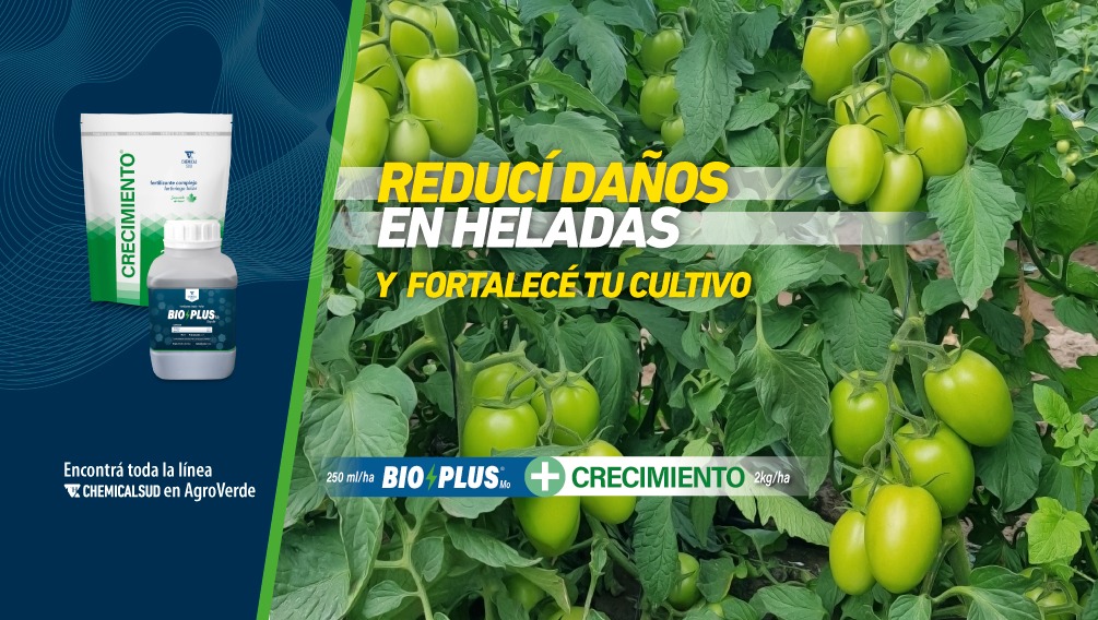Foto para: CHEMICAL SUD