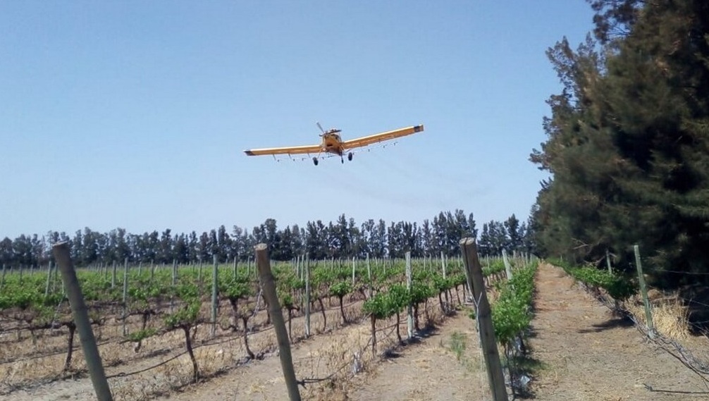 Foto para: Aplicaciones aéreas de insecticidas para la lucha contra Lobesia Botrana