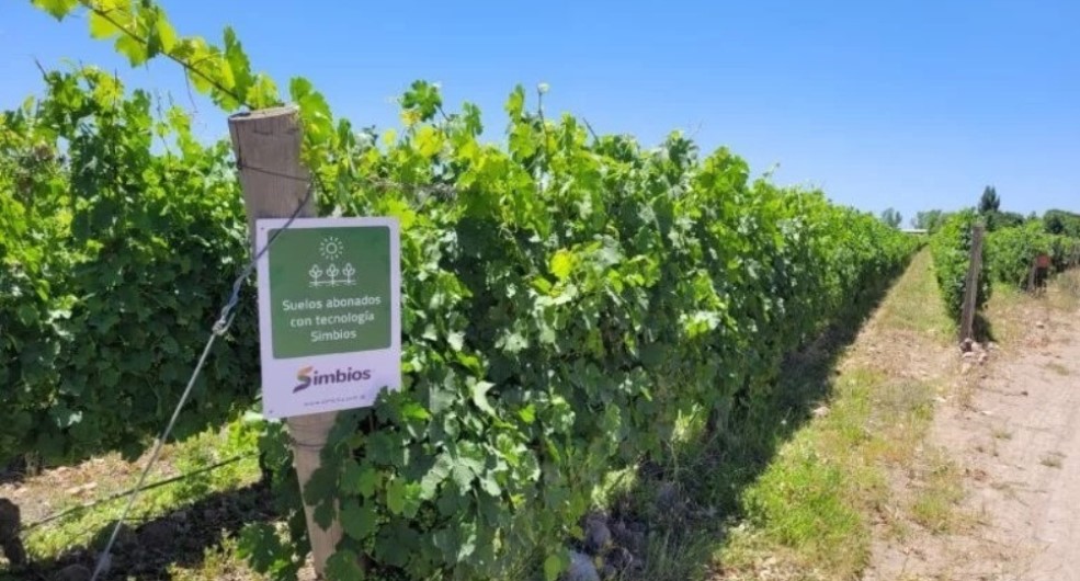Foto para: Cada vez más productores y empresas vitivinícolas confían en SIMBIOS